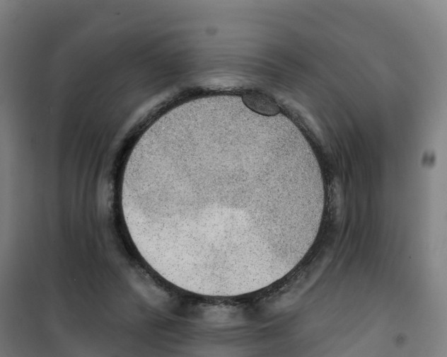 X0000100360400200807031843