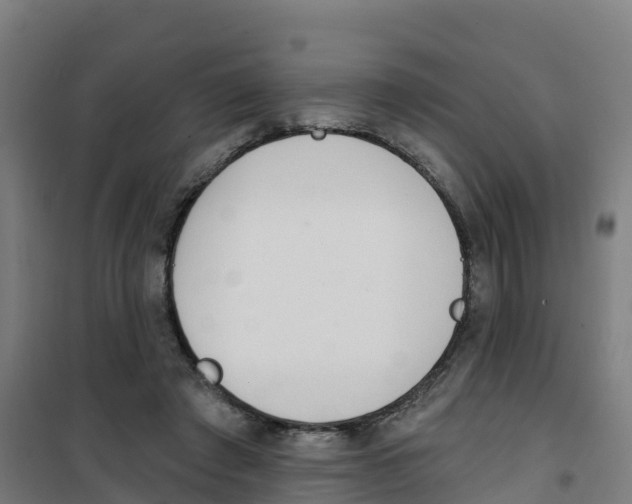 X0000100360401200807031843
