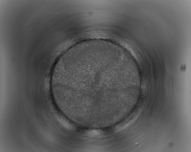 X0000100360402200807031843