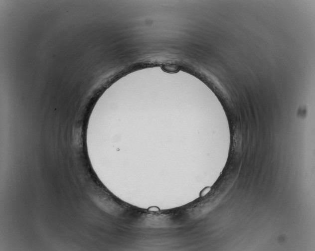 X0000100360403200807031843