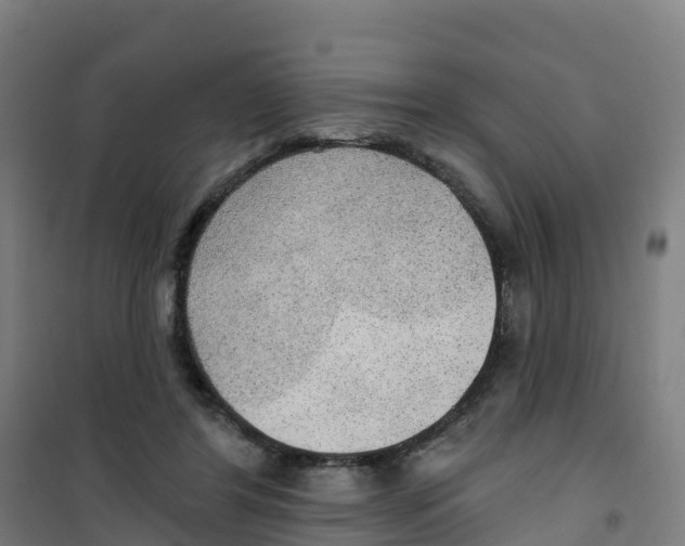 X0000100360404200807031843