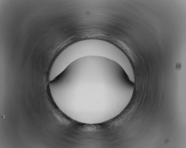 X0000100360405200807031843