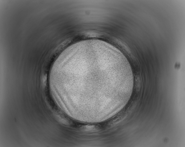X0000100360406200807031843