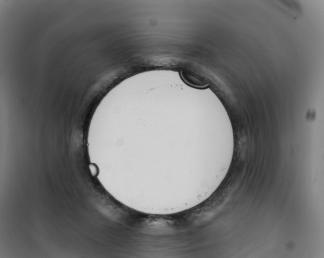X0000100360407200807031842