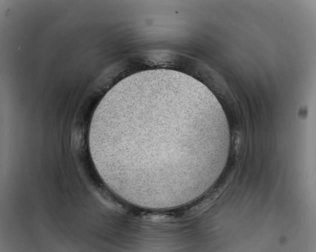 X0000100360408200807031842