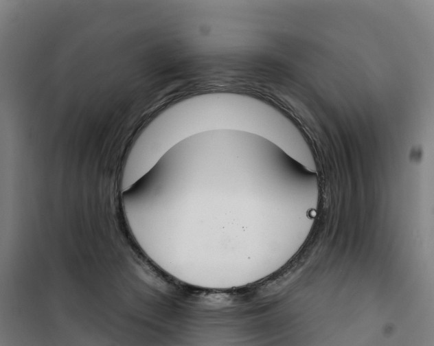 X0000100360409200807031842