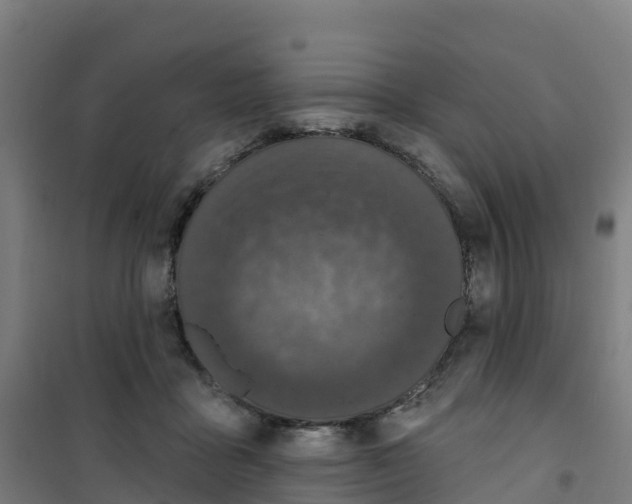 X0000100360411200807031842
