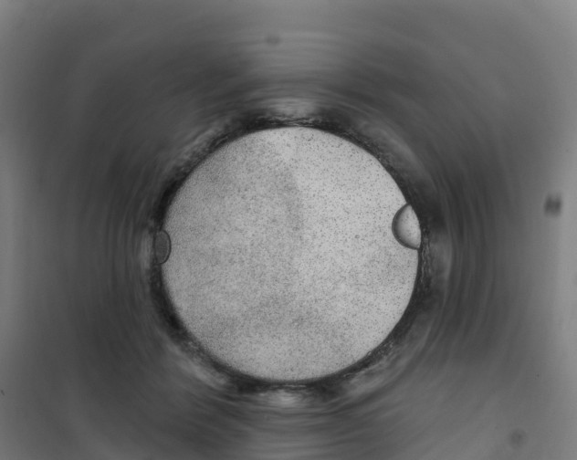 X0000100360412200807031842