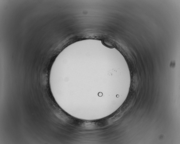 X0000100360413200807031842