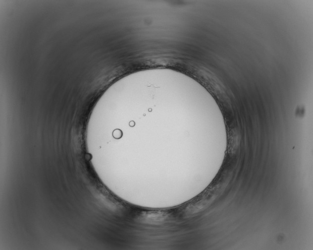 X0000100360414200807031842