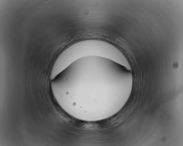 X0000100360415200807031842