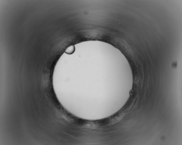 X0000100360416200807031842