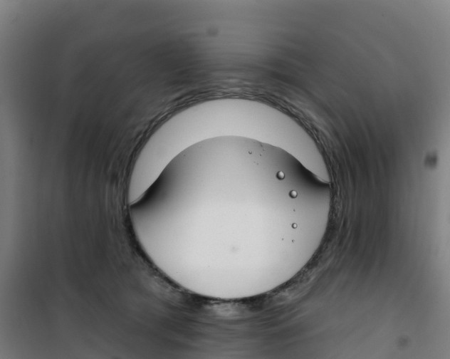 X0000100360417200807031842