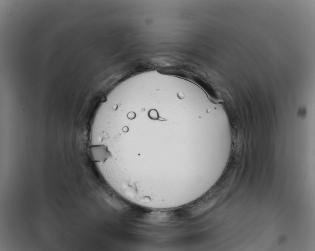 X0000100360418200807031842