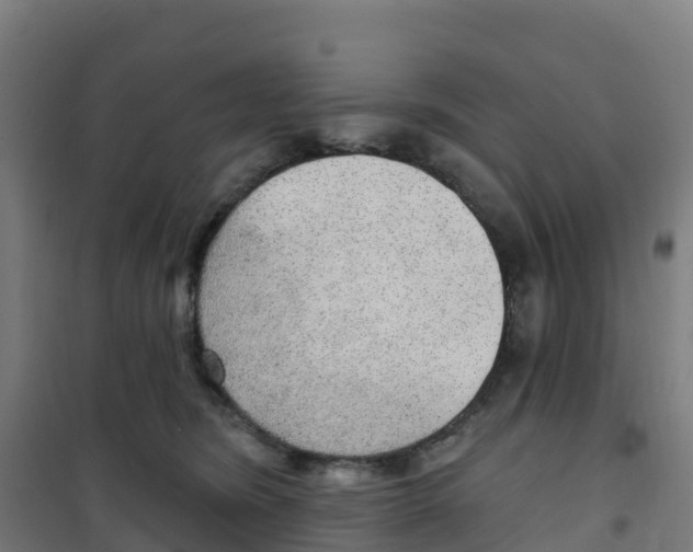X0000100360420200807031842