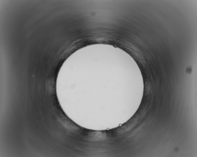 X0000100360421200807031842