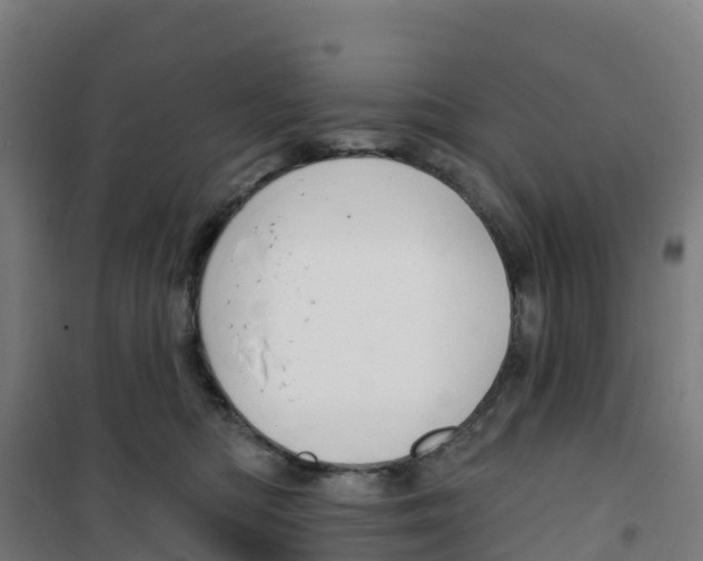 X0000100360422200807031842
