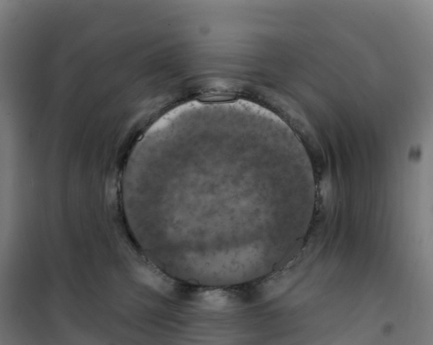 X0000100360423200807031842