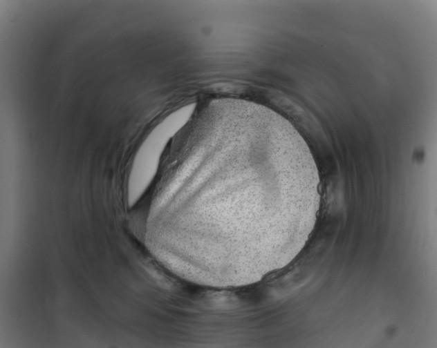 X0000100360424200807031842
