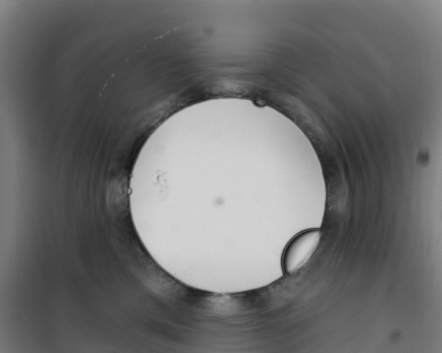 X0000100360425200807031842