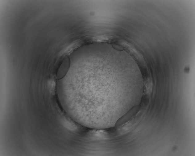 X0000100360427200807031842