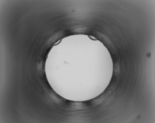 X0000100360428200807031842