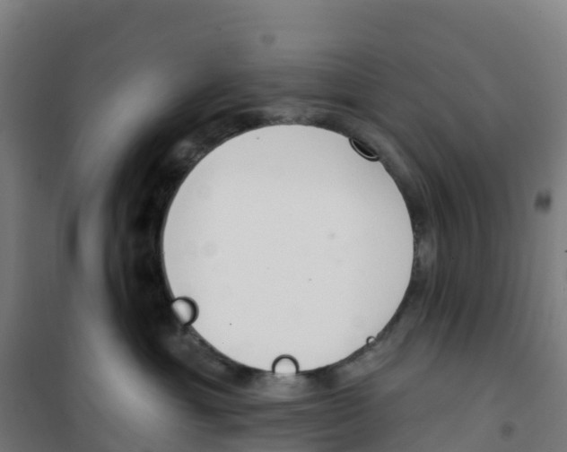X0000100360429200807031842