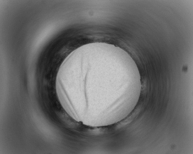 X0000100360430200807031842