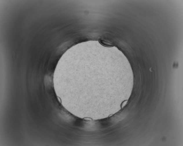 X0000100360432200807031842