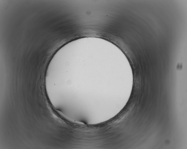 X0000100360433200807031841