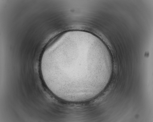 X0000100360434200807031841