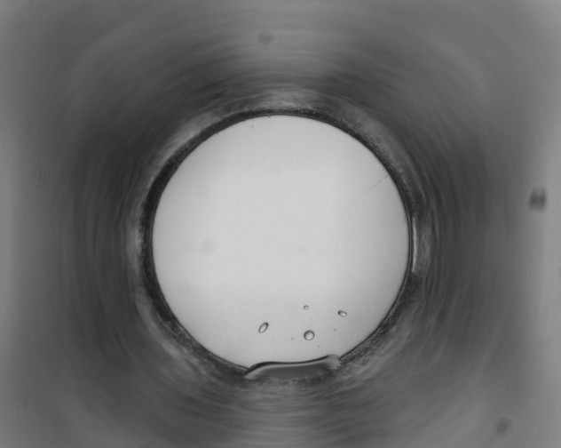 X0000100360435200807031841