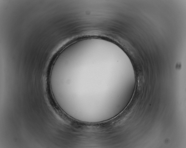 X0000100360436200807031841
