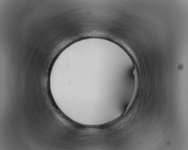X0000100360437200807031841
