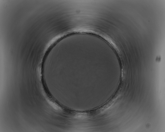 X0000100360438200807031841