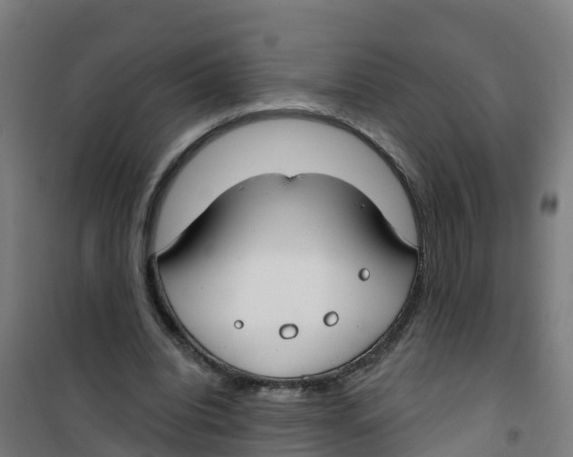 X0000100360440200807031841