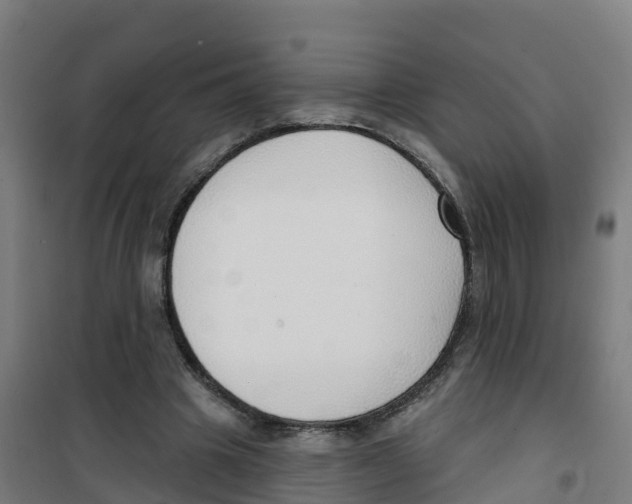 X0000100360441200807031841