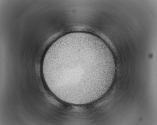 X0000100360442200807031841
