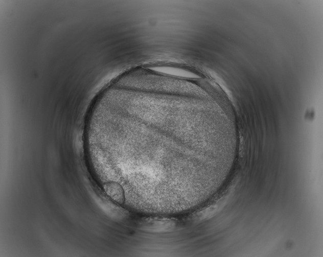 X0000100360443200807031841
