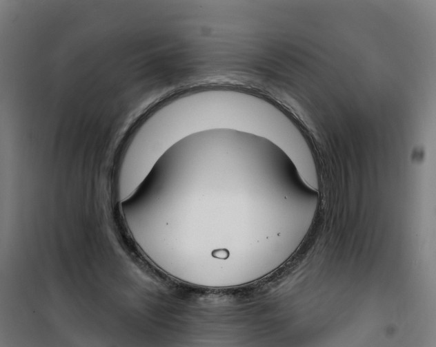 X0000100360444200807031841