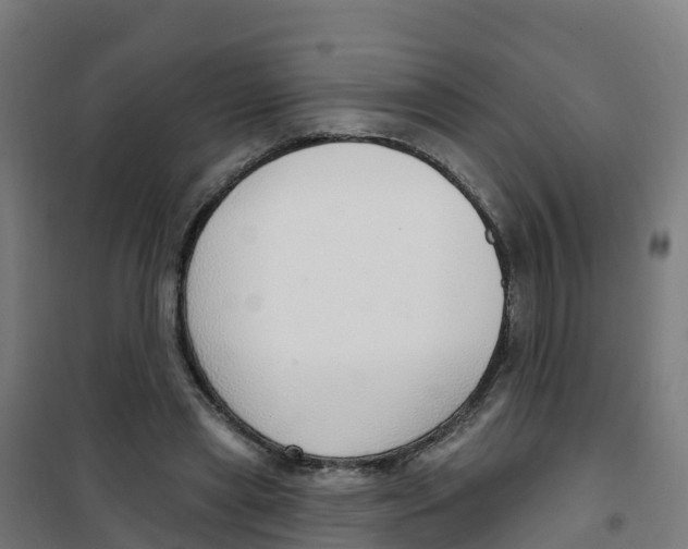 X0000100360445200807031841
