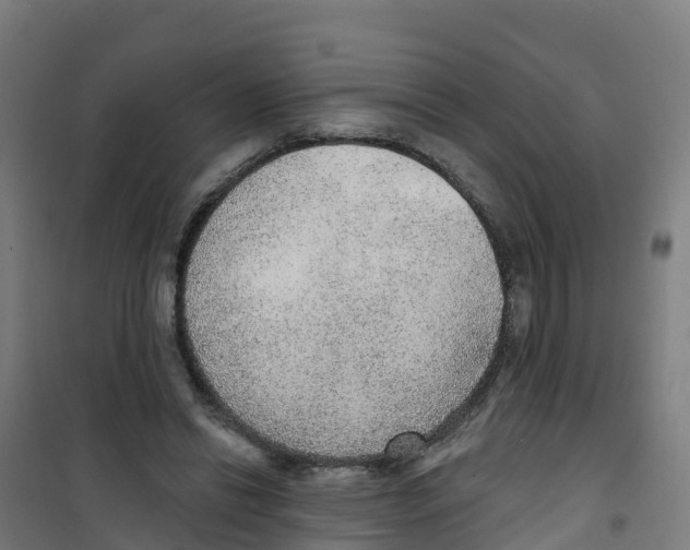 X0000100360446200807031841