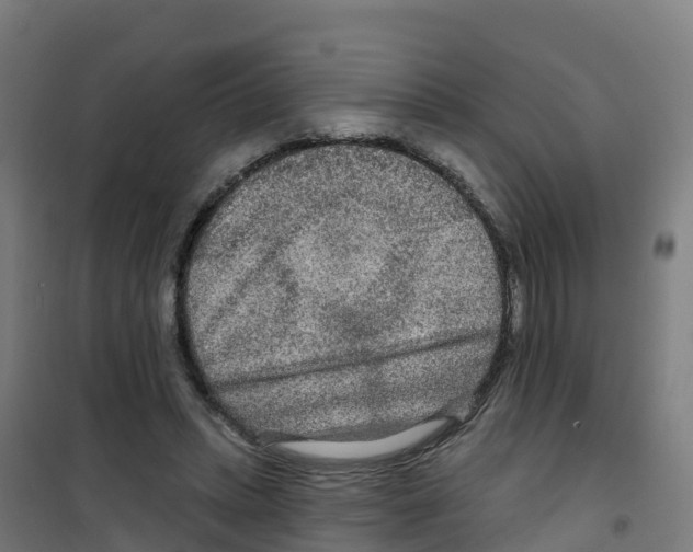 X0000100360447200807031842