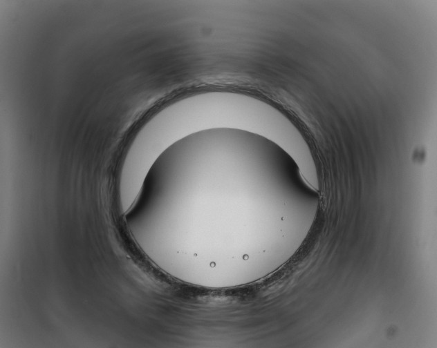 X0000100360448200807031842