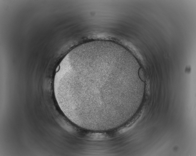 X0000100360449200807031842