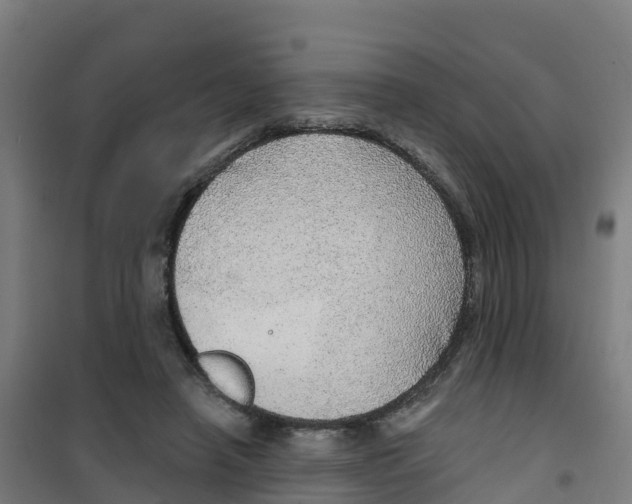 X0000100360450200807031842