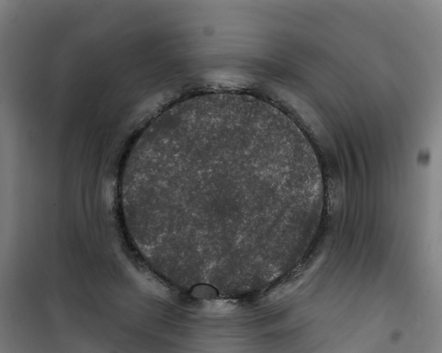 X0000100360451200807031842