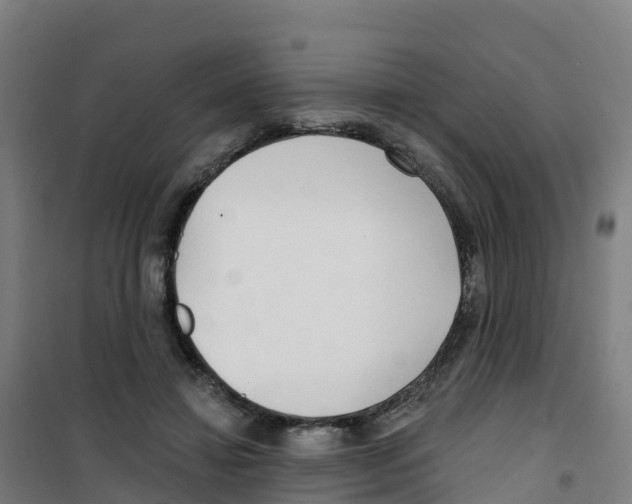 X0000100360452200807031842