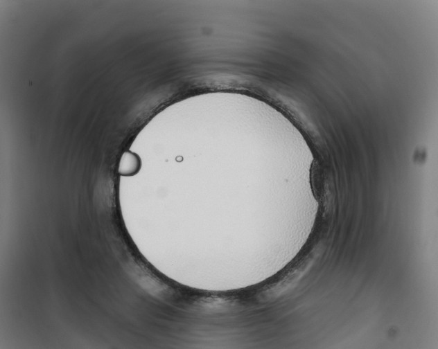 X0000100360453200807031842