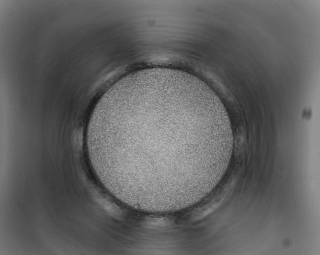 X0000100360454200807031842